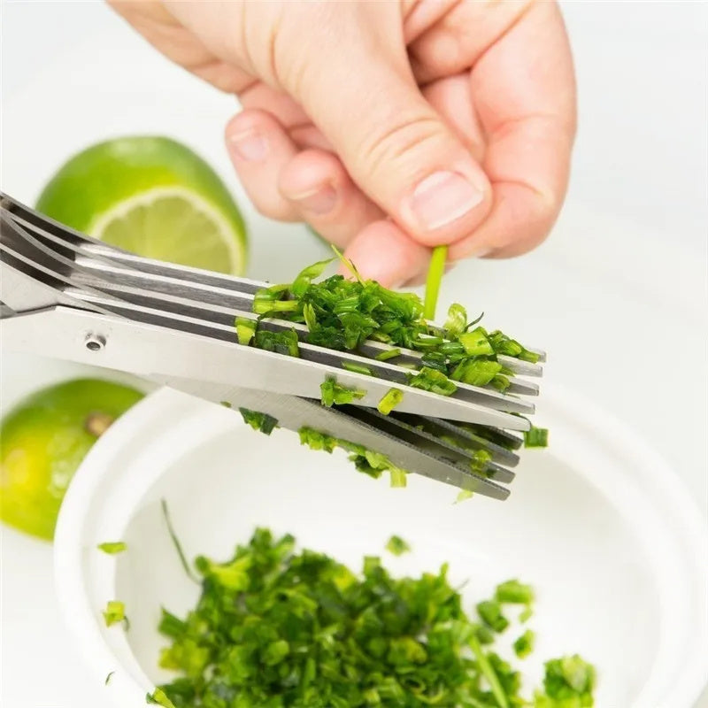 Multi-Layer Stainless Steel Herb Scissors – Quick Cut Kitchen Tool for Green Onions, Nori & Spices